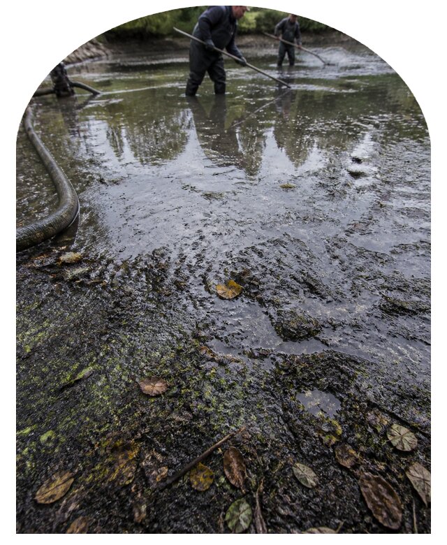 Очистка пруда в Лангепасе от ила мусора и водорослей с вывозом